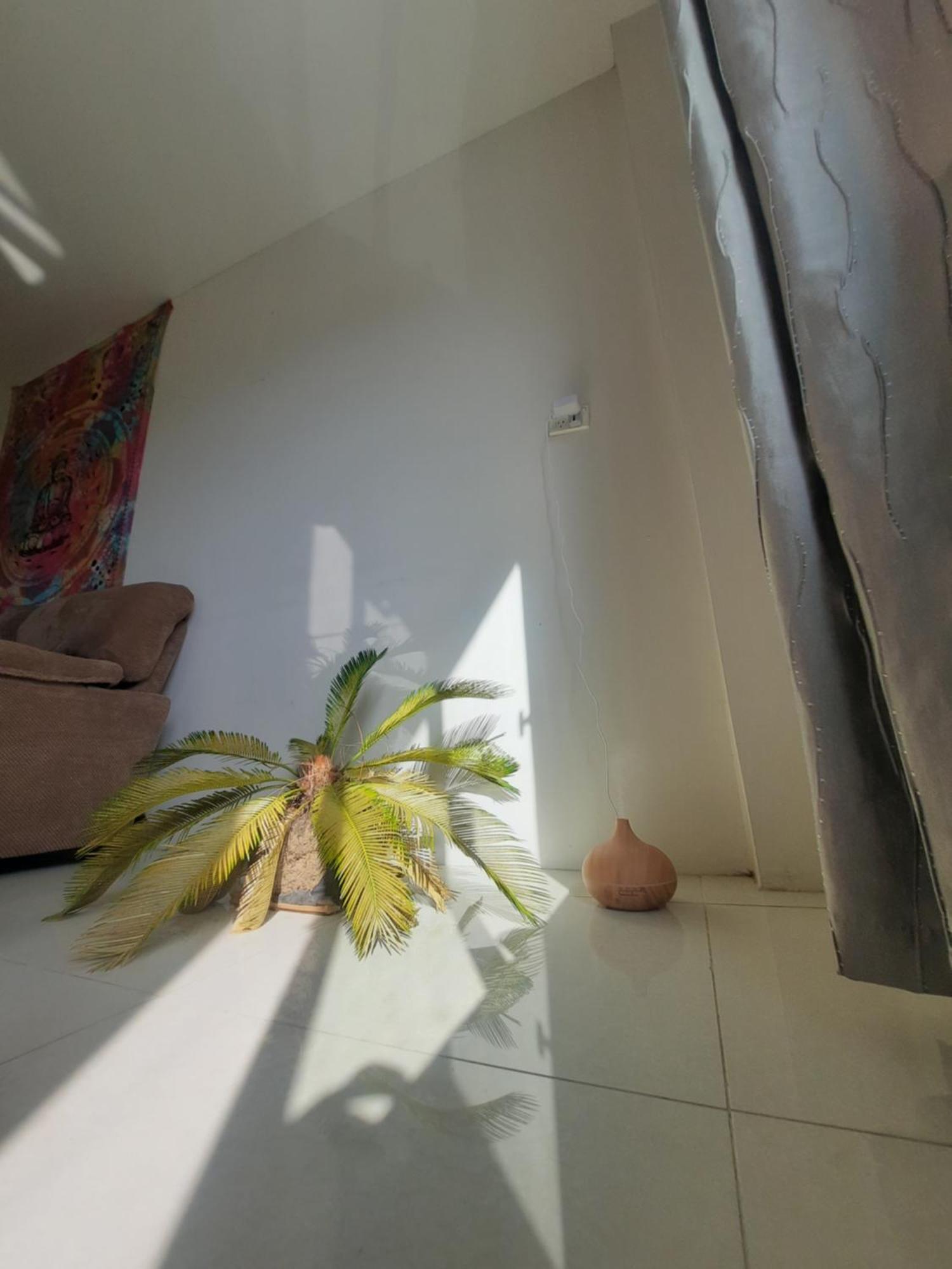 Bula Bliss With Sunset View Apartamento Nadi Exterior foto